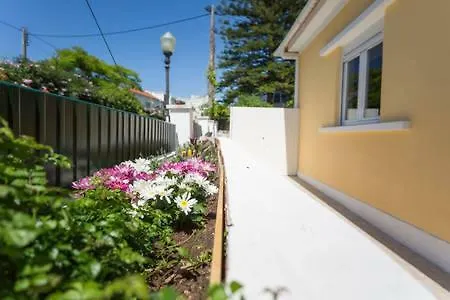 Ola - Terrace Belem *